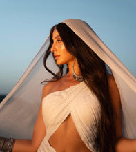 Load image into Gallery viewer, Nora Fatehi in our Silver Danglers
